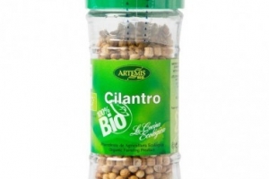 CILANTRO ARTEMIS