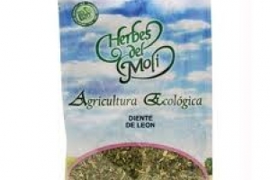 DIENTE DE LEON HERBES DEL MOLI